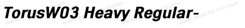 TorusW03 Heavy Regular字体转换